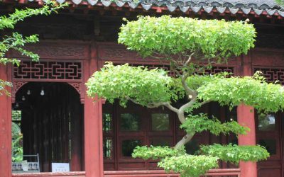 The Primitivist: The Taoist Philosopher of Simplicity