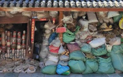 Chinese Herbal Medicine Shop in Weishan, Yunnan