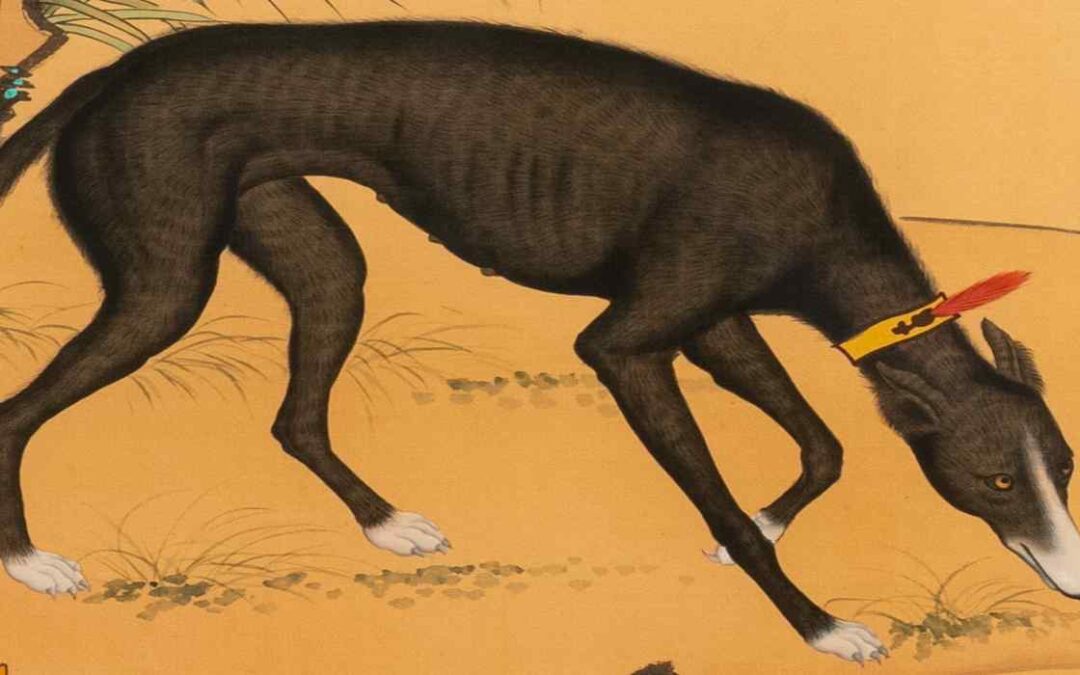 The Dog as Psychopomp in China